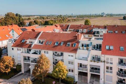 Ludwigshafen am Rhein Wohnungen, Ludwigshafen am Rhein Wohnung kaufen