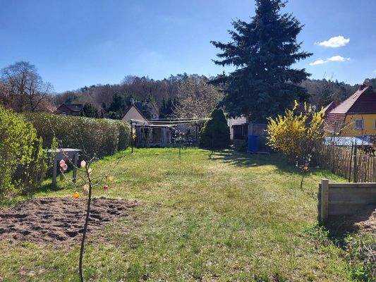 Garten (Blick zur Immobilie)