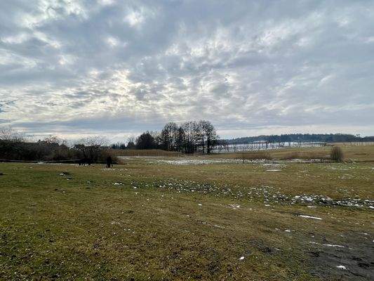 Aussicht vom Grundstück