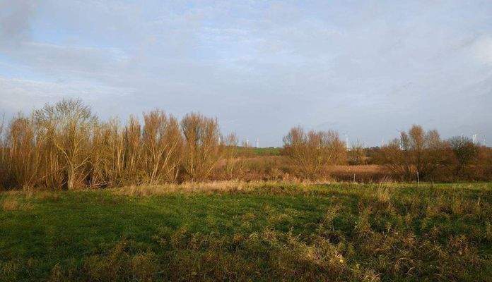 Blick zum Baumgartener See