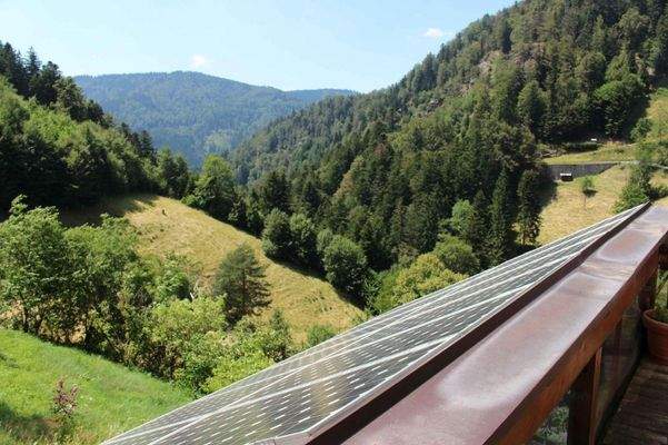 Blick auf die umliegende Natur