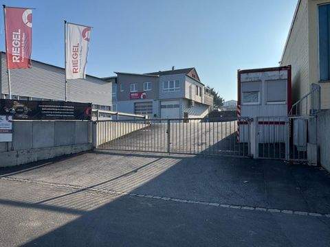 Gerbrunn Halle, Gerbrunn Hallenfläche