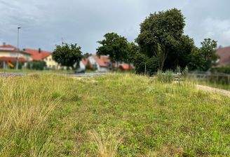 Baugrundstück bei Freystadt