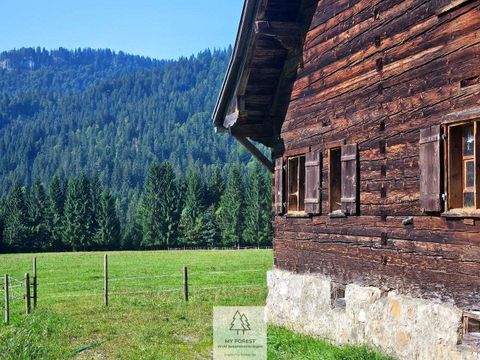 Balderschwang Häuser, Balderschwang Haus kaufen