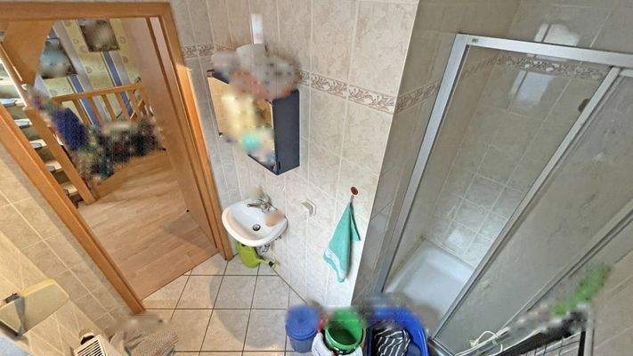 EG Gäste-WC / Duschbad