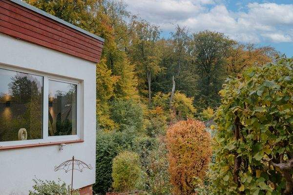 Blick aus dem Garten