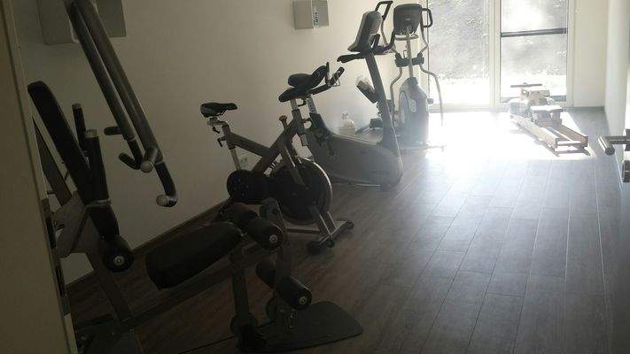 Eisenabteilung_hier wird trainiert.jpg