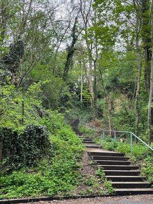 Natur pur_direkte Umgebung