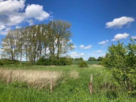 Zarrentin am Schaalsee Grundstücke, Zarrentin am Schaalsee Grundstück kaufen