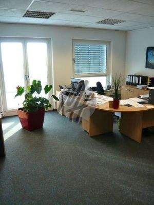 INFOS UNTER: 06171-586000