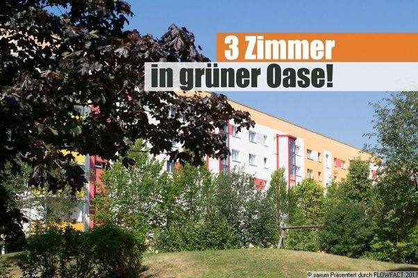 3 Zimmer in grüner Oase