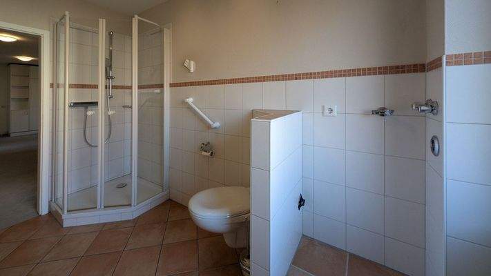 Tageslicht Badezimmer mit Dusche