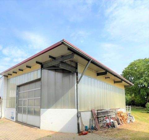 Kirchheim am Ries Halle, Kirchheim am Ries Hallenfläche