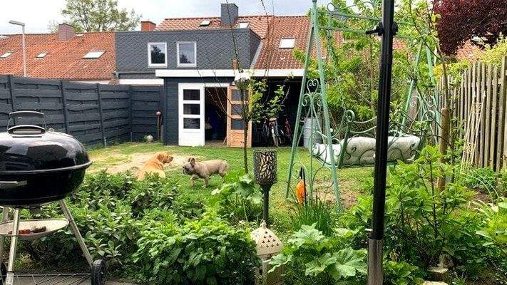 Blick in den geschützten Garten