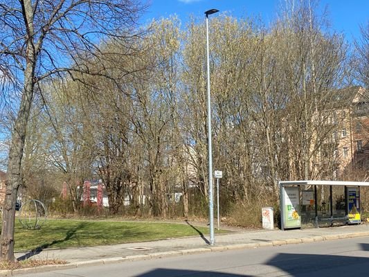 Grundstücksansicht Straßenseite