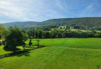 Geniessen Sie den traumhaften Ausblick von der Terrasse in die umliegende Natur!