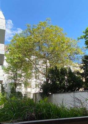 Blick in den Hinterhof