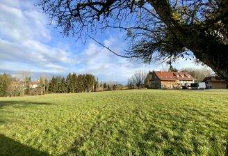 Blick vom Feld auf das Haus