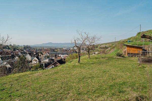 GARTENANSICHT OBERE GARTENEBENE