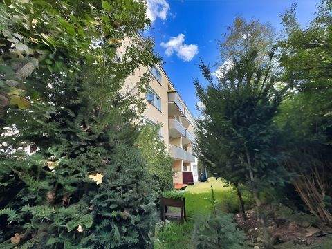 Aarbergen Wohnungen, Aarbergen Wohnung kaufen