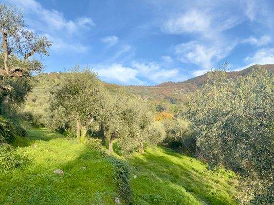 DA1013_03 TERRA ITALIA IMMOBILIEN_REAL ESTATE_FOR 