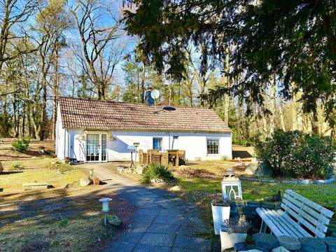 Lotte Häuser, Lotte Haus kaufen