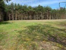 121659198_m_3 (2).jpg