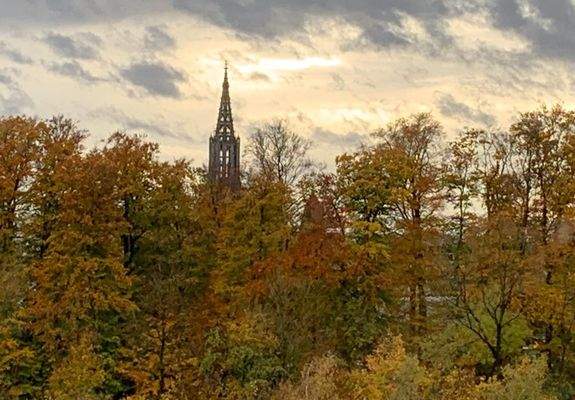 2- Münsterblick.jpg