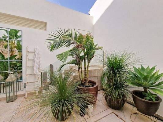 20230916_121302_InPixio