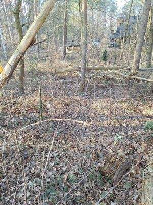 Blick auf das Wohngrundstück