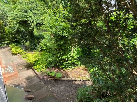 Garten hinten