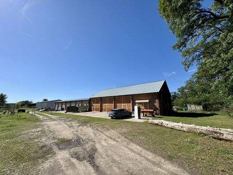 Bliesdorf Halle, Bliesdorf Hallenfläche