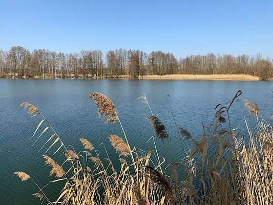 Nur 100 m bis zum See 