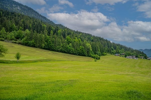 _DSC3683-Edit