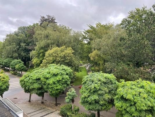 Blick aus der Küche zum Kurpark