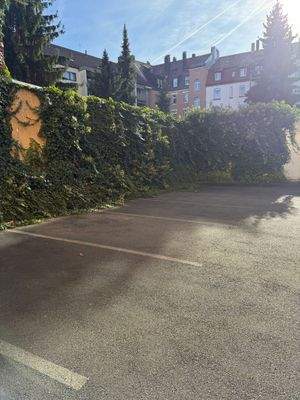 WhatsApp Image 2025-11-05 at 11.01.31 (2).jpeg