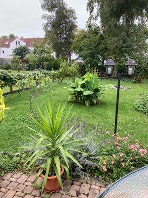 ... der Garten ist von jedem Blinkwinkel schön ...