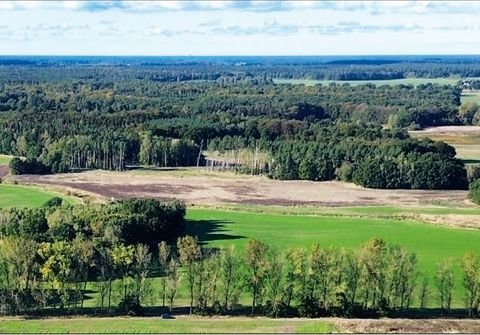 Sanitz Bauernhöfe, Landwirtschaft, Sanitz Forstwirtschaft