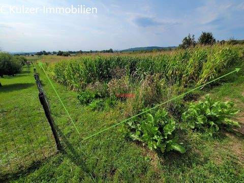 Fischingen Bauernhöfe, Landwirtschaft, Fischingen Forstwirtschaft