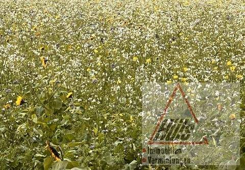 Lienen Bauernhöfe, Landwirtschaft, Lienen Forstwirtschaft