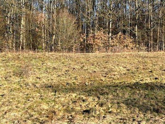 .. mit eigener Wiese am Haus !