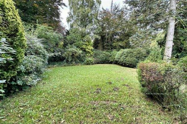 vorderer Gartenbereich