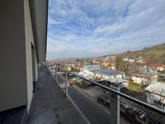 DG Blick.jpg