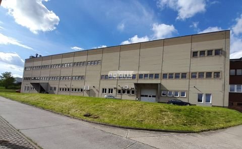 Seebach Halle, Seebach Hallenfläche
