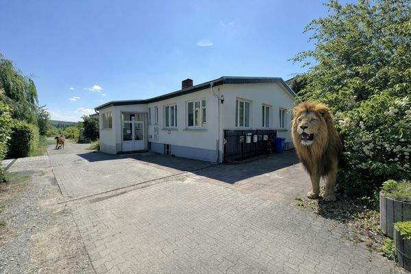KI verändertes Bild - Blick von der oberen Grundstücksgrenze