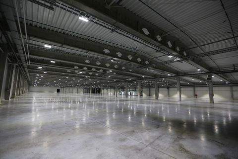 Lozienica Halle, Lozienica Hallenfläche