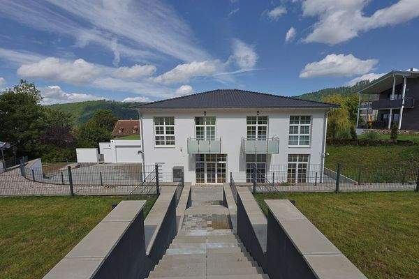 Von Süden im Garten