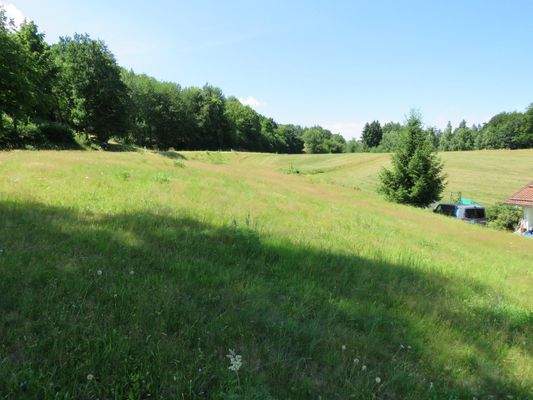 umgeben von Wiesen und Wäldern 