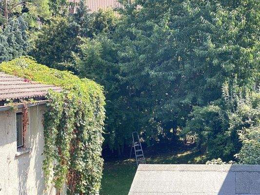 45070951-Blick in den Garten