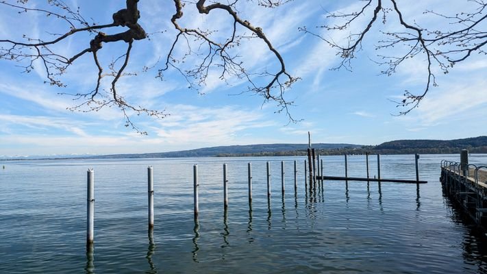 Bodensee Ufer.jpg